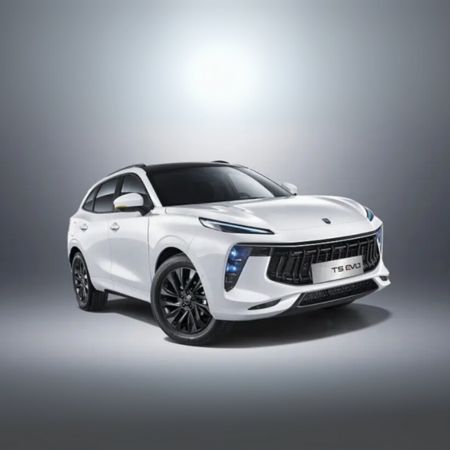 لاماری ایما در تبریز